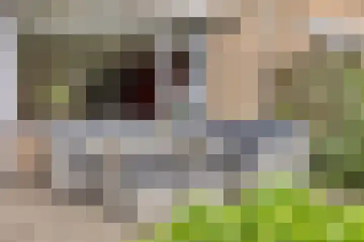 Midscheeps 9 Amsterdam thumbnail 17