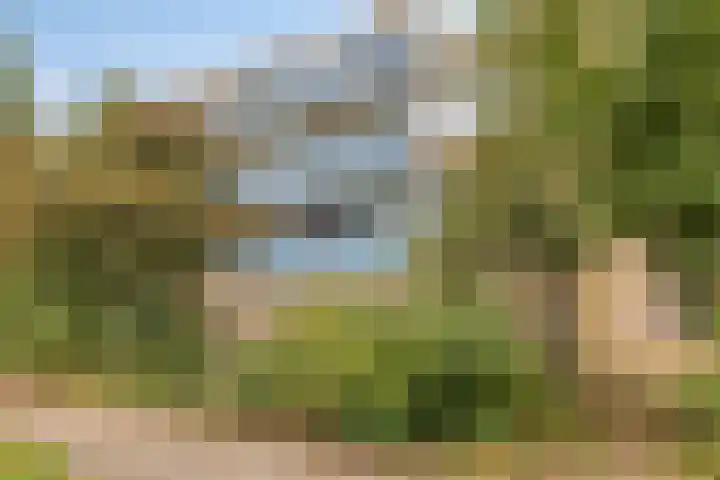 Midscheeps 9 Amsterdam thumbnail 18