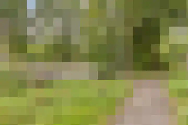 Midscheeps 9 Amsterdam thumbnail 29