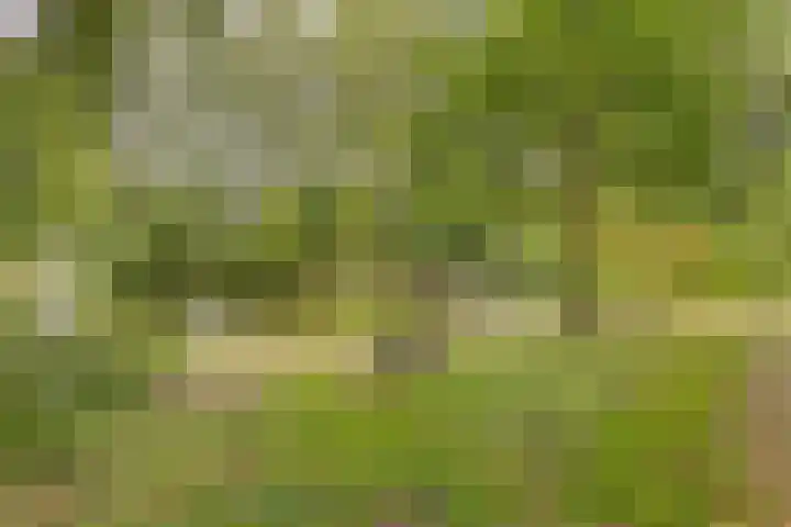 Midscheeps 9 Amsterdam thumbnail 30