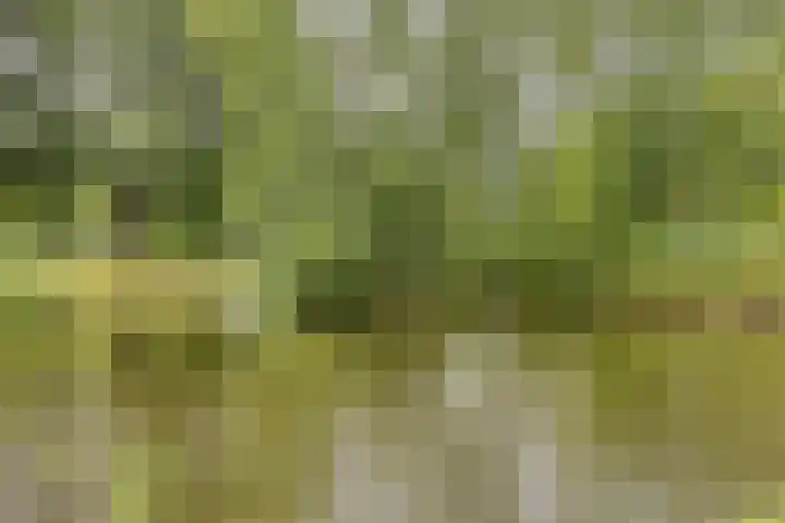 Midscheeps 9 Amsterdam thumbnail 31