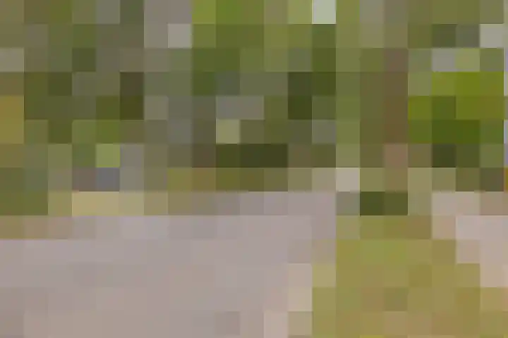 Midscheeps 9 Amsterdam thumbnail 32