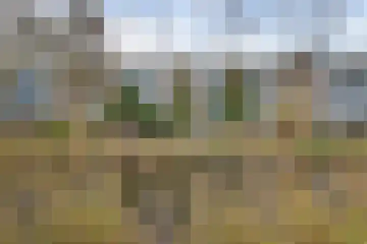 Midscheeps 97 Amsterdam thumbnail 37