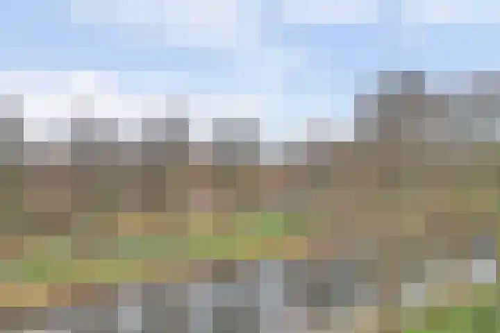 Midscheeps 97 Amsterdam thumbnail 39