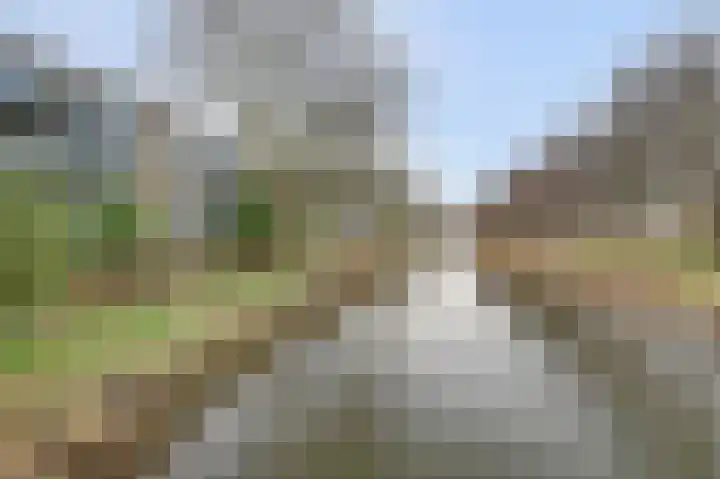 Midscheeps 97 Amsterdam thumbnail 40