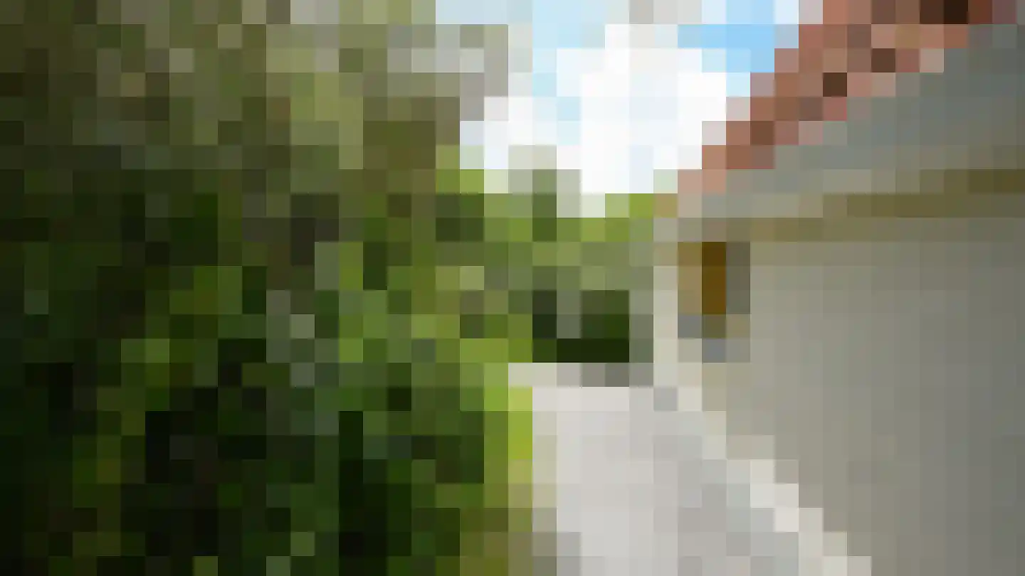 Midsland aan Zee 313 Midsland thumbnail 29