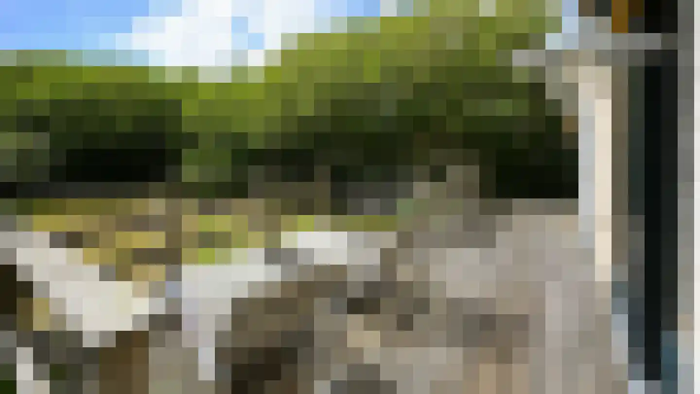 Midsland aan Zee 313 Midsland thumbnail 30