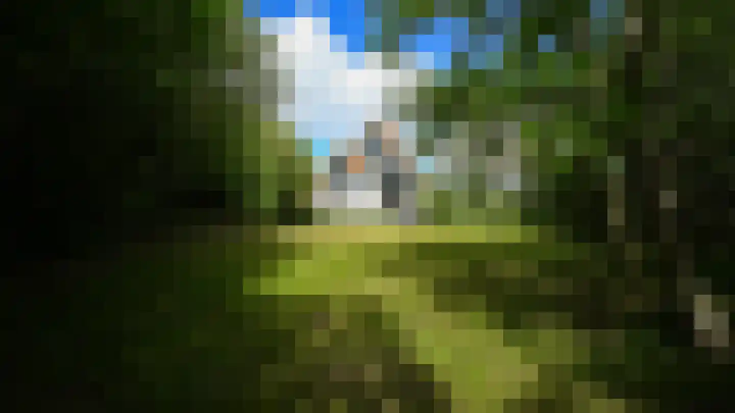 Midsland aan Zee 313 Midsland thumbnail 32