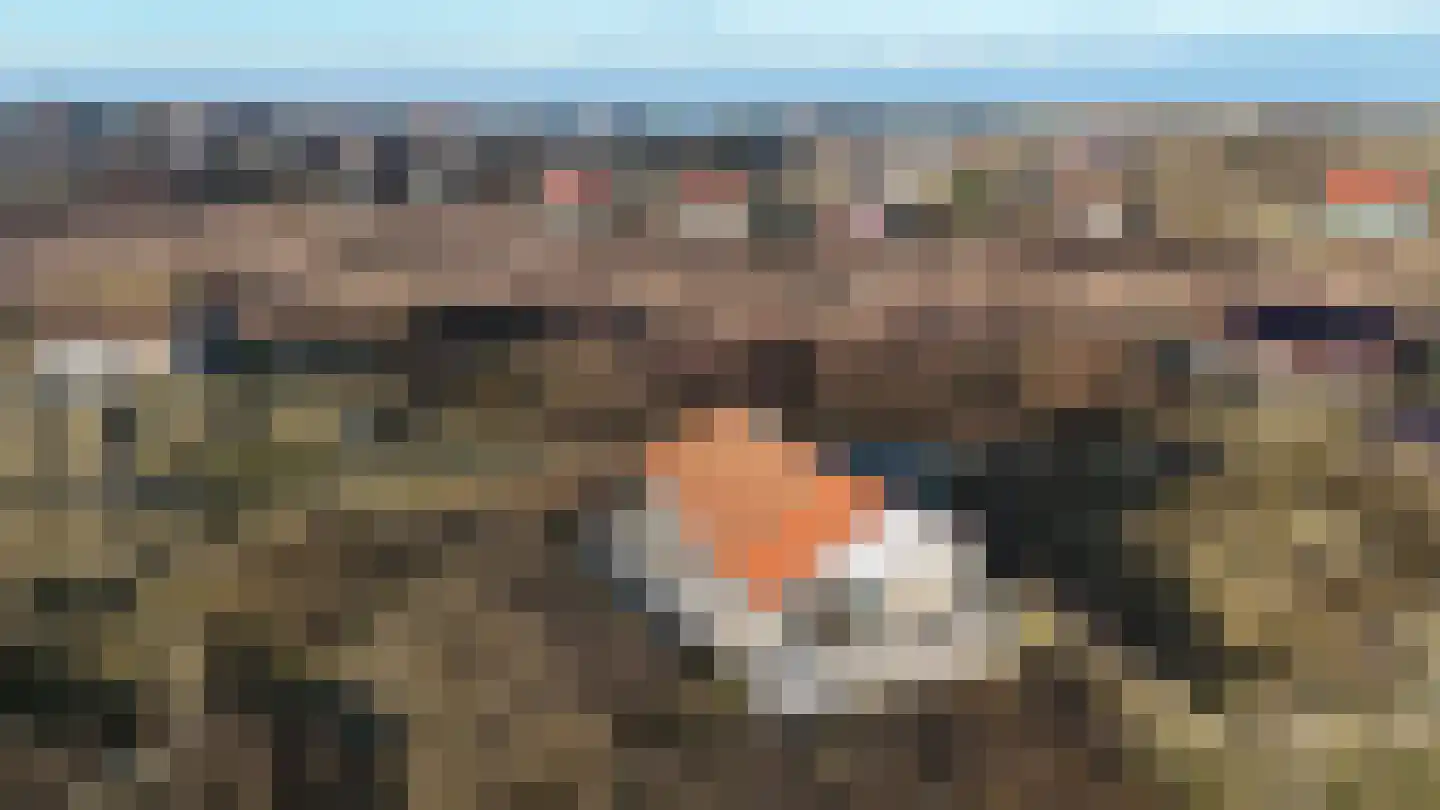 Midsland aan Zee 314 Midsland thumbnail 38