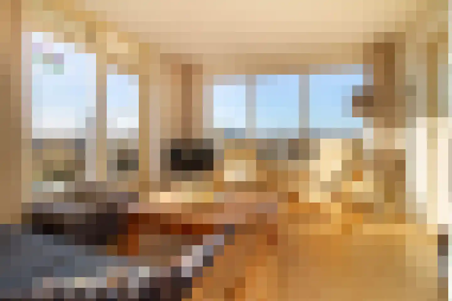 Midsland aan Zee 314 Midsland thumbnail 8