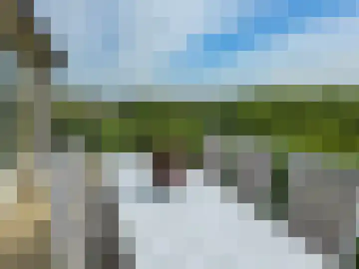 Midsland aan Zee 366 Midsland thumbnail 29