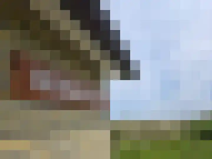 Midsland aan Zee 366 Midsland thumbnail 36
