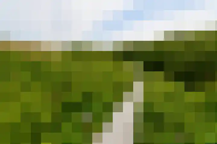 Midsland aan Zee 366 Midsland thumbnail 38
