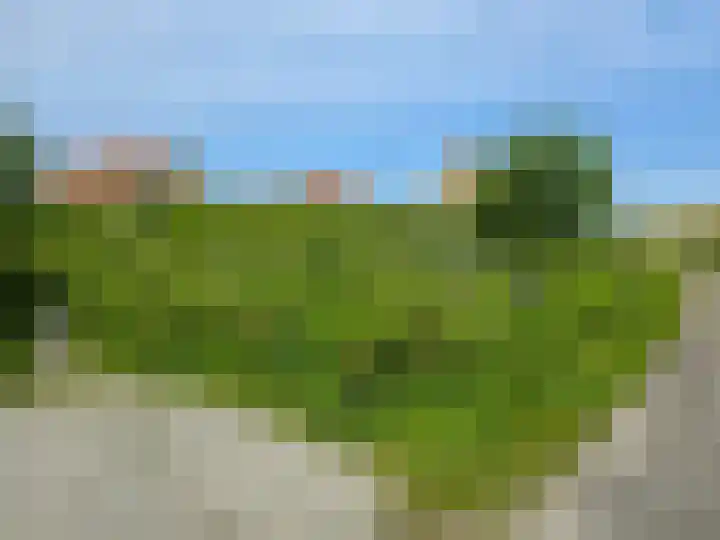 Midsland aan Zee 366 Midsland thumbnail 40