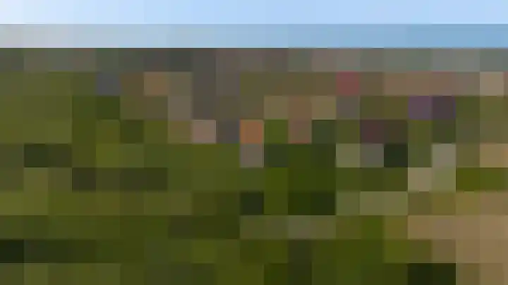 Midsland aan Zee 366 Midsland thumbnail 41
