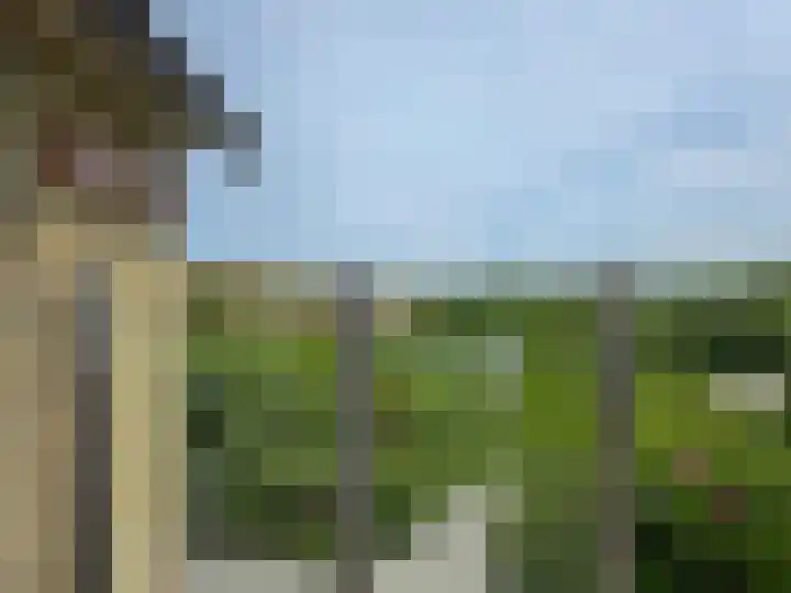 Midsland aan Zee 366 Midsland thumbnail 6