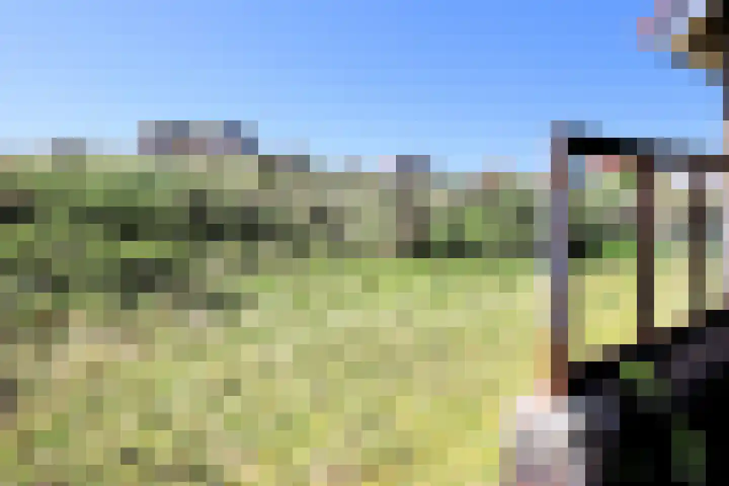 Midsland aan Zee 390 Midsland thumbnail 7