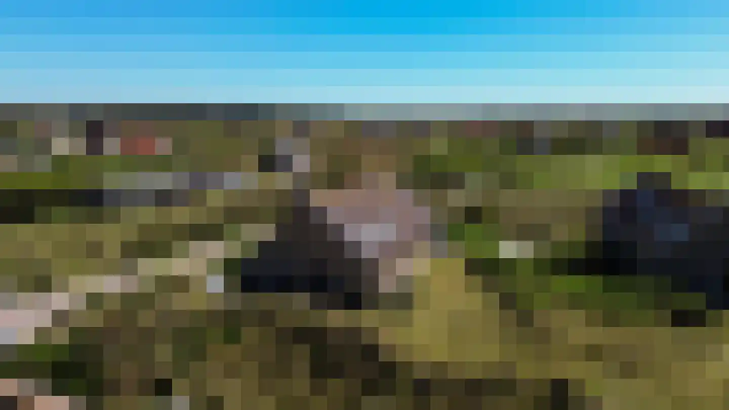 Midsland aan Zee 391 Midsland thumbnail 36