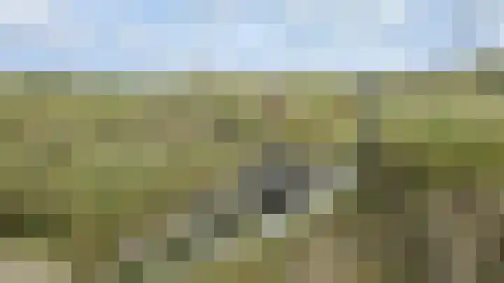 Midsland aan Zee 406 Midsland thumbnail 38