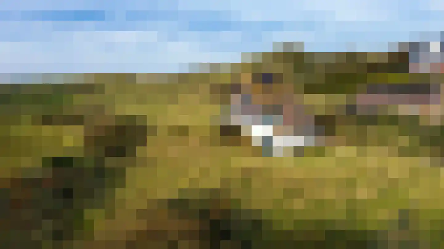 Midsland aan Zee 421 Midsland thumbnail 47