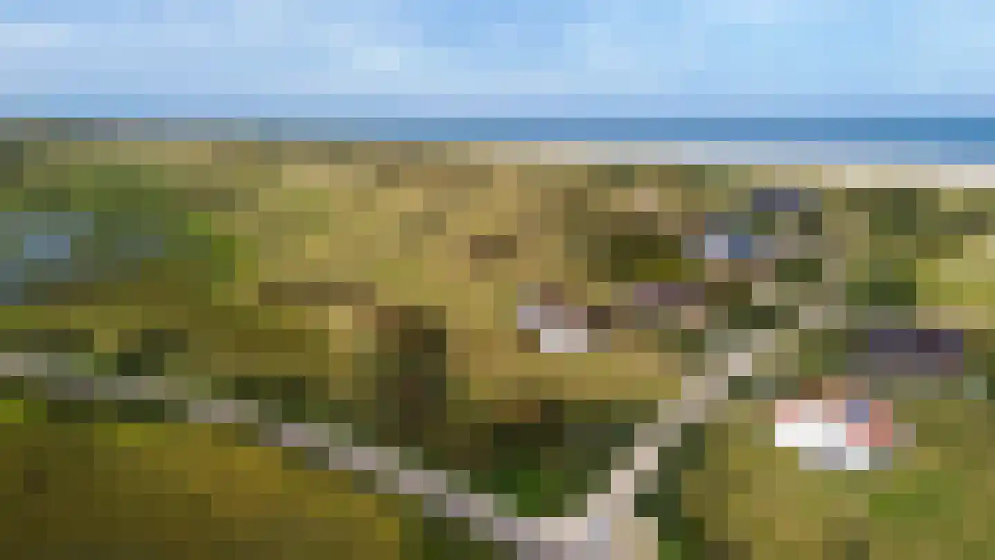 Midsland aan Zee 421 Midsland thumbnail 5