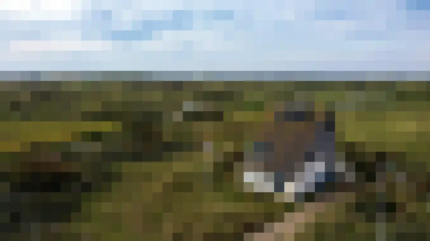 Midsland aan Zee 421 Midsland thumbnail 7