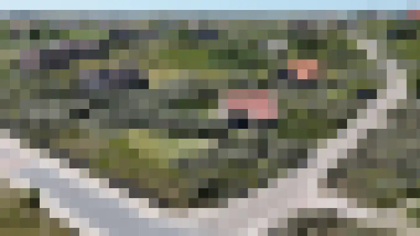 Midsland aan Zee 453 Midsland thumbnail 32