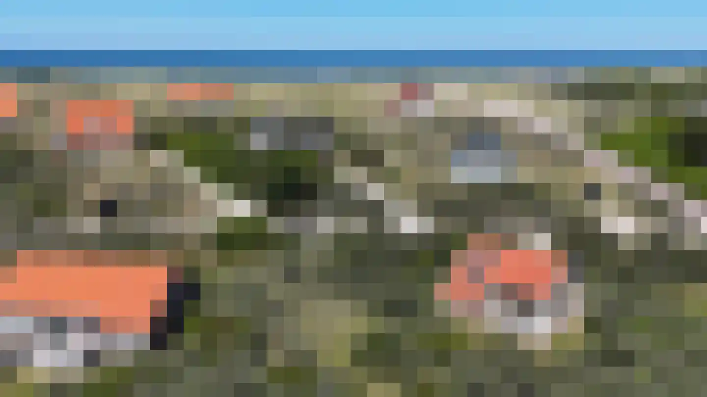 Midsland aan Zee 453 Midsland thumbnail 33