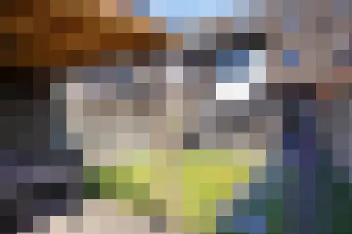 Midslandstraat 20 Tilburg thumbnail 32