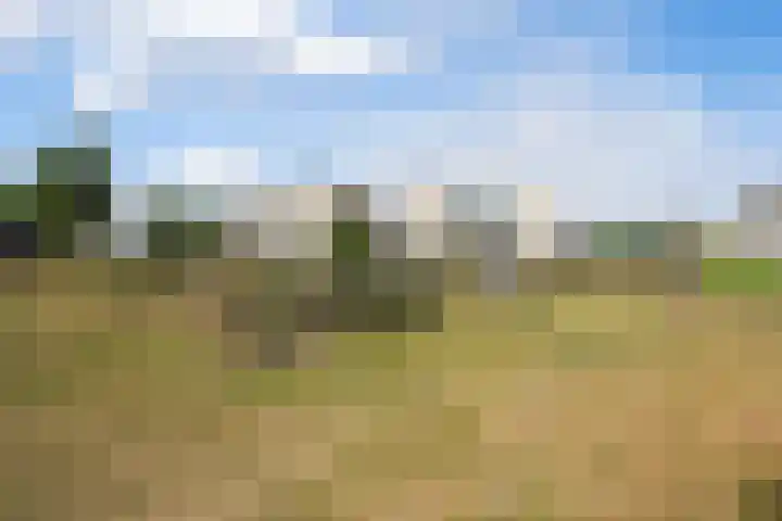 Midslandstraat 20 Tilburg thumbnail 39