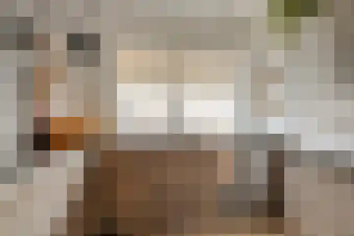 Midslandstraat 33 Tilburg thumbnail 14