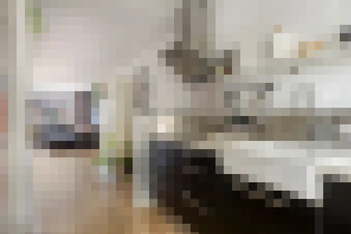Midslandstraat 53 Tilburg thumbnail 10