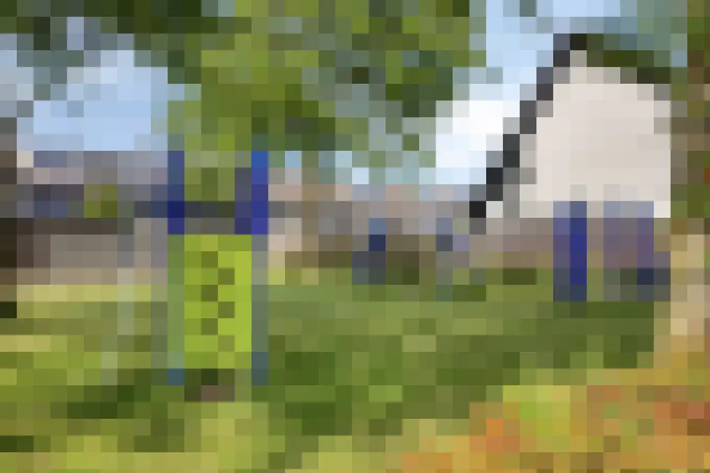 Midslandstraat 53 Tilburg thumbnail 31
