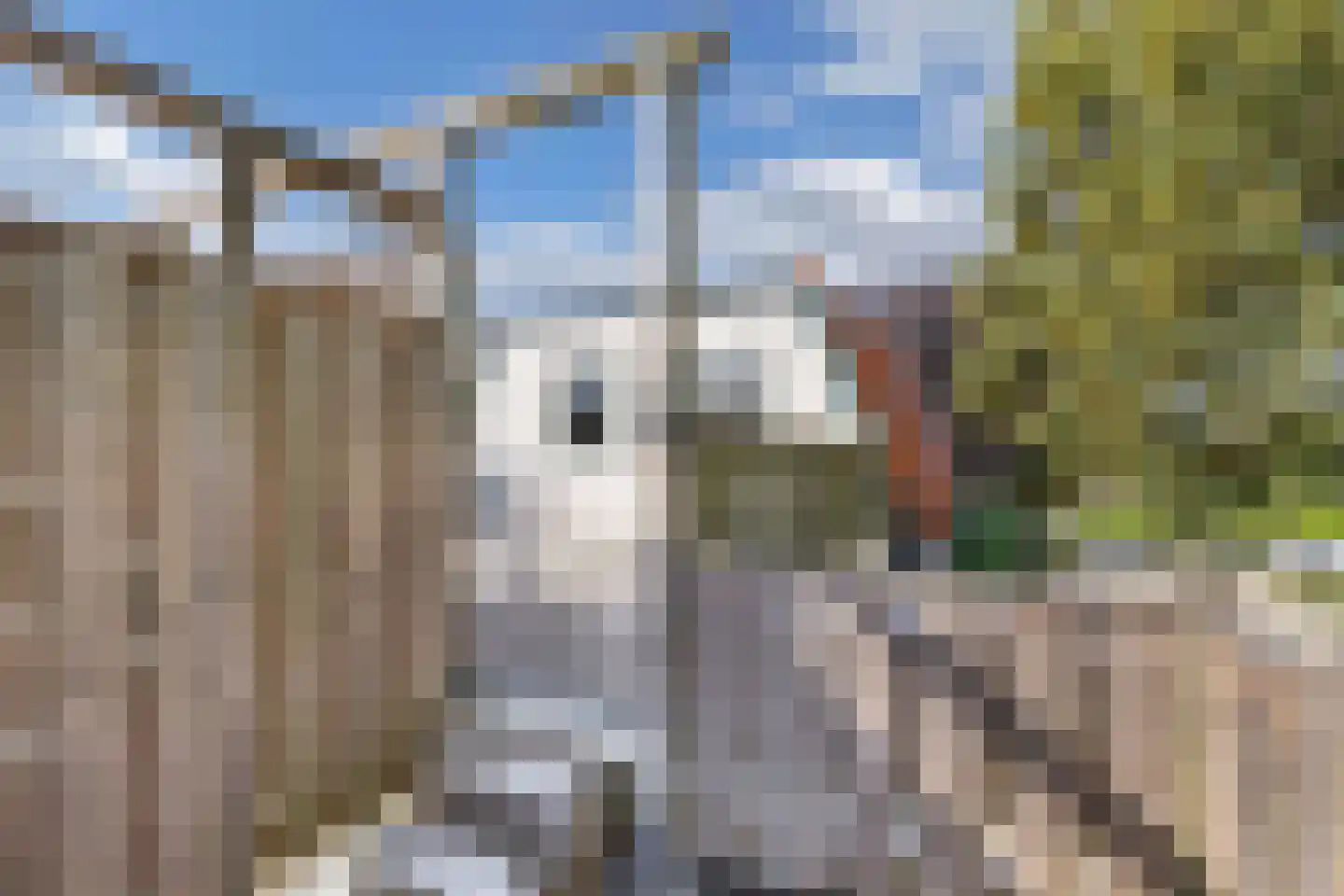 Midstraat 114 B Joure thumbnail 27