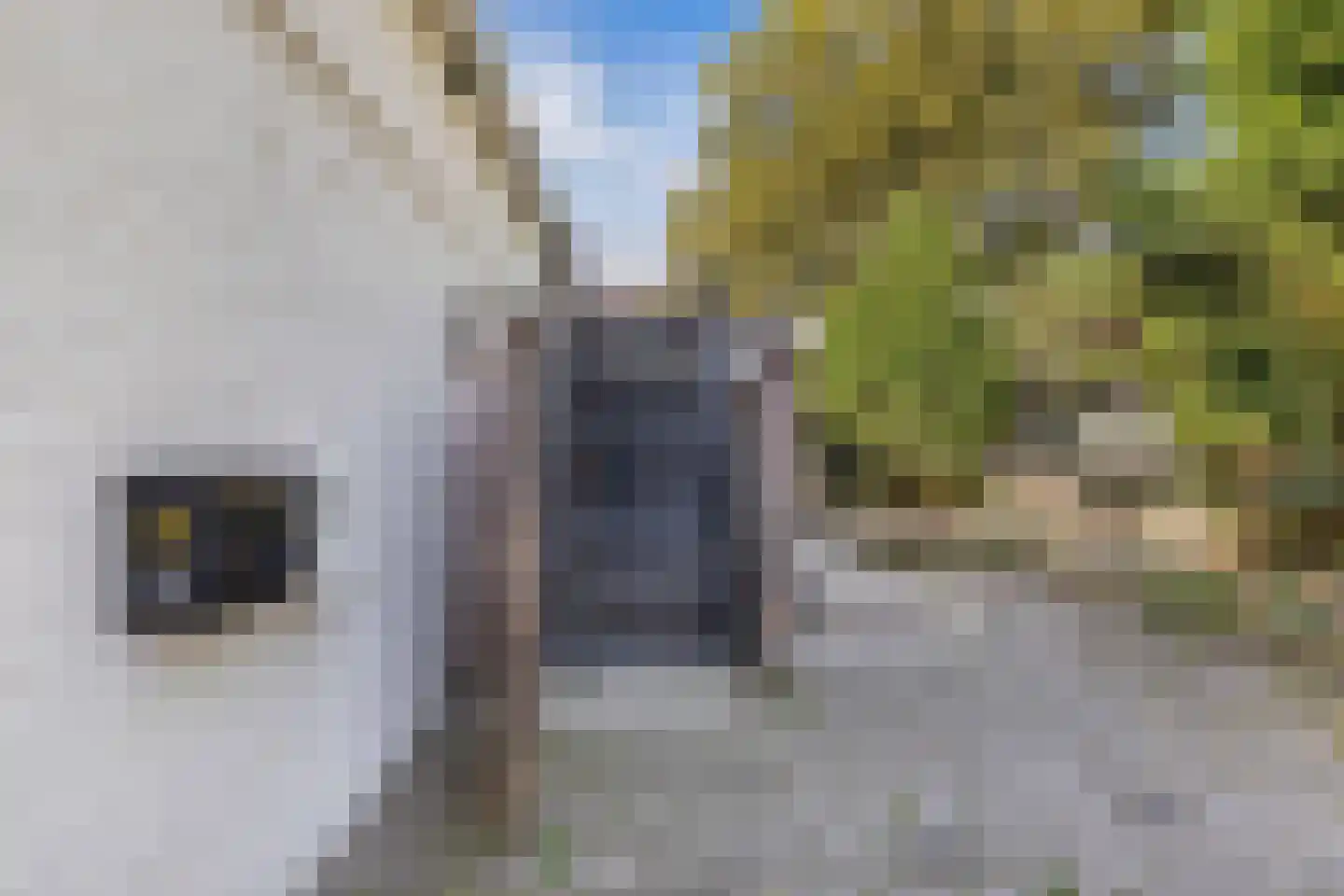 Midstraat 114 B Joure thumbnail 30
