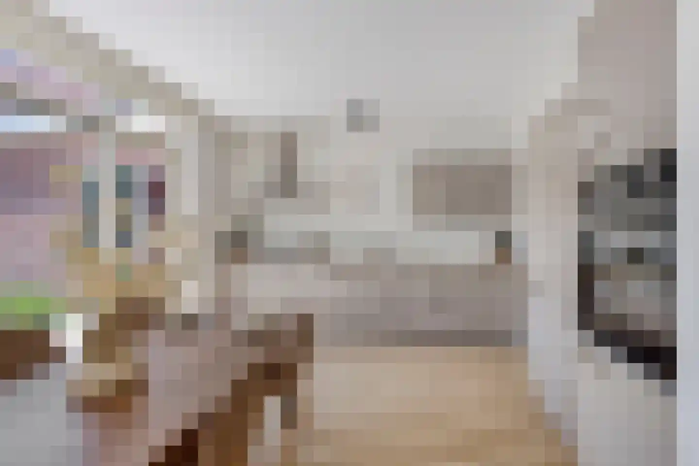Midstraat 120 Joure thumbnail 12