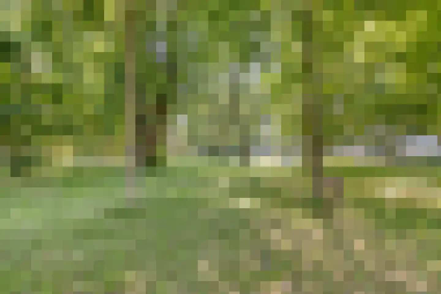 Midstraat 120 Joure thumbnail 29