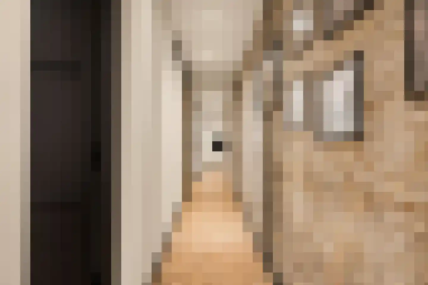 Midstraat 122 Joure thumbnail 37