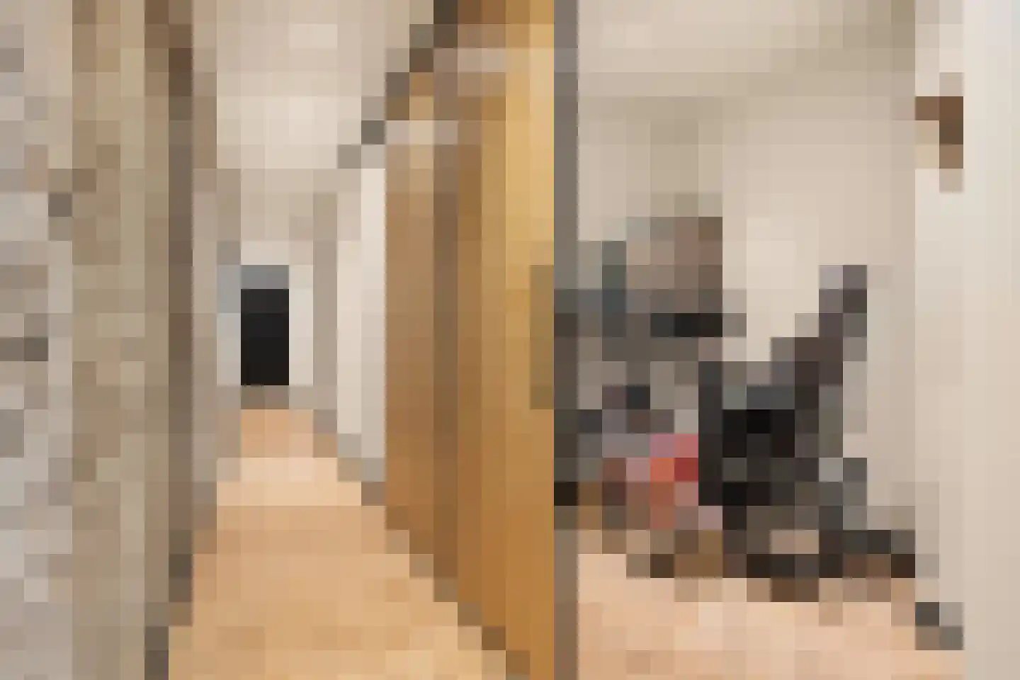 Midstraat 122 Joure thumbnail 38