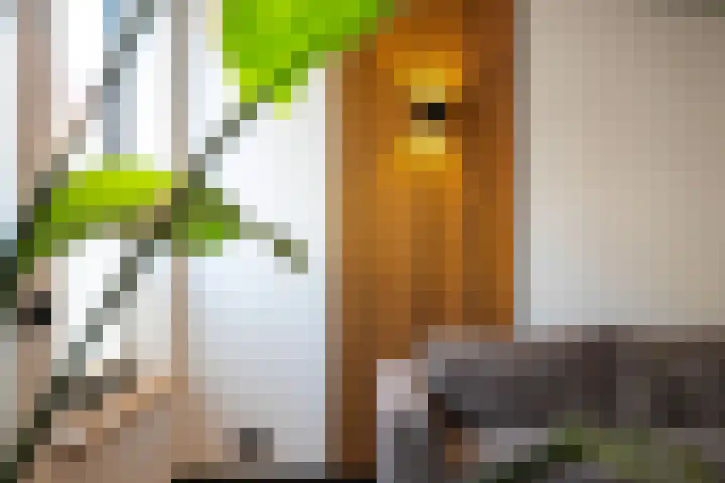 Midstraat 122 Joure thumbnail 62
