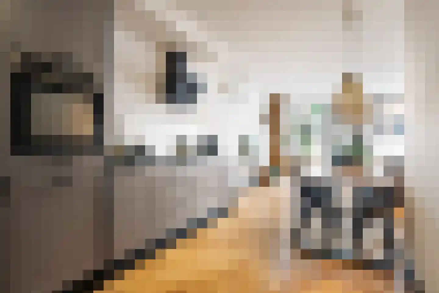 Midstraat 122 Joure thumbnail 65