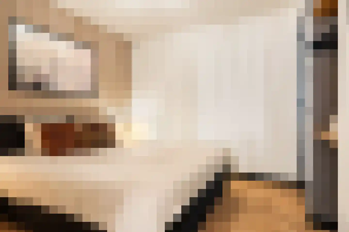 Midstraat 122 Joure thumbnail 67