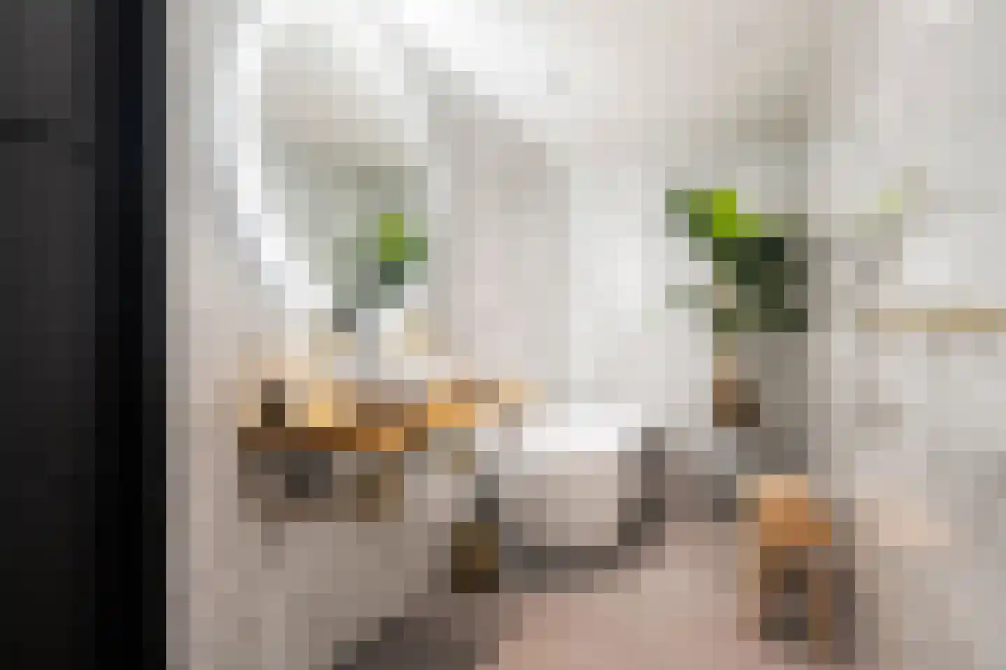Midstraat 122 Joure thumbnail 69