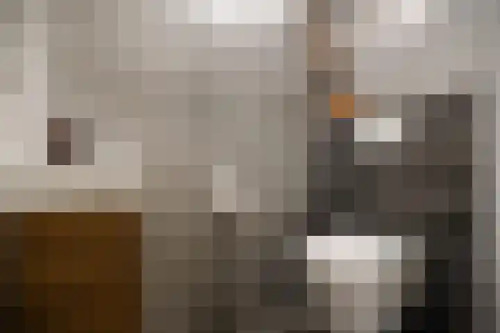 Midstraat 199 Joure thumbnail 36