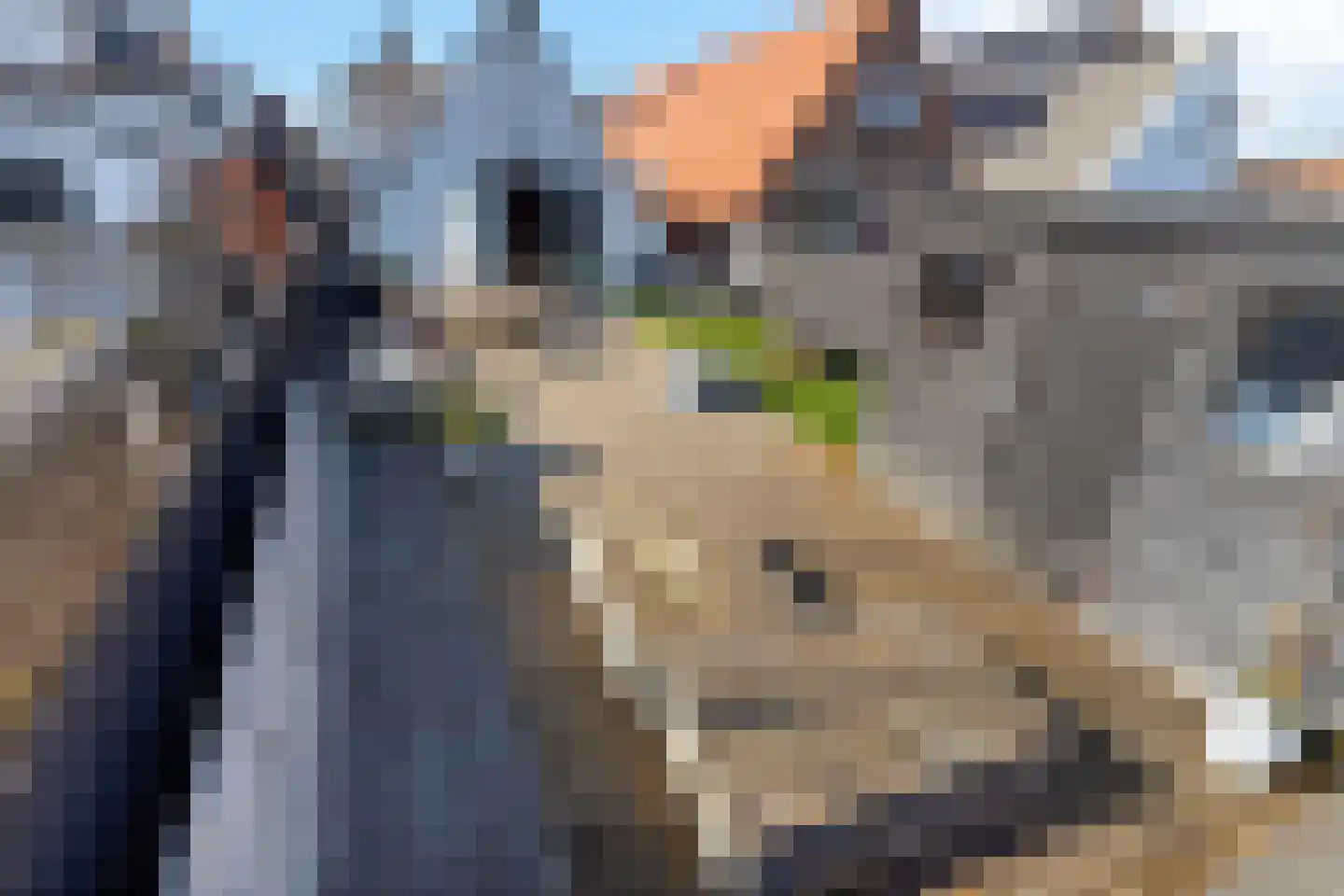 Midstraat 31 a Joure thumbnail 28