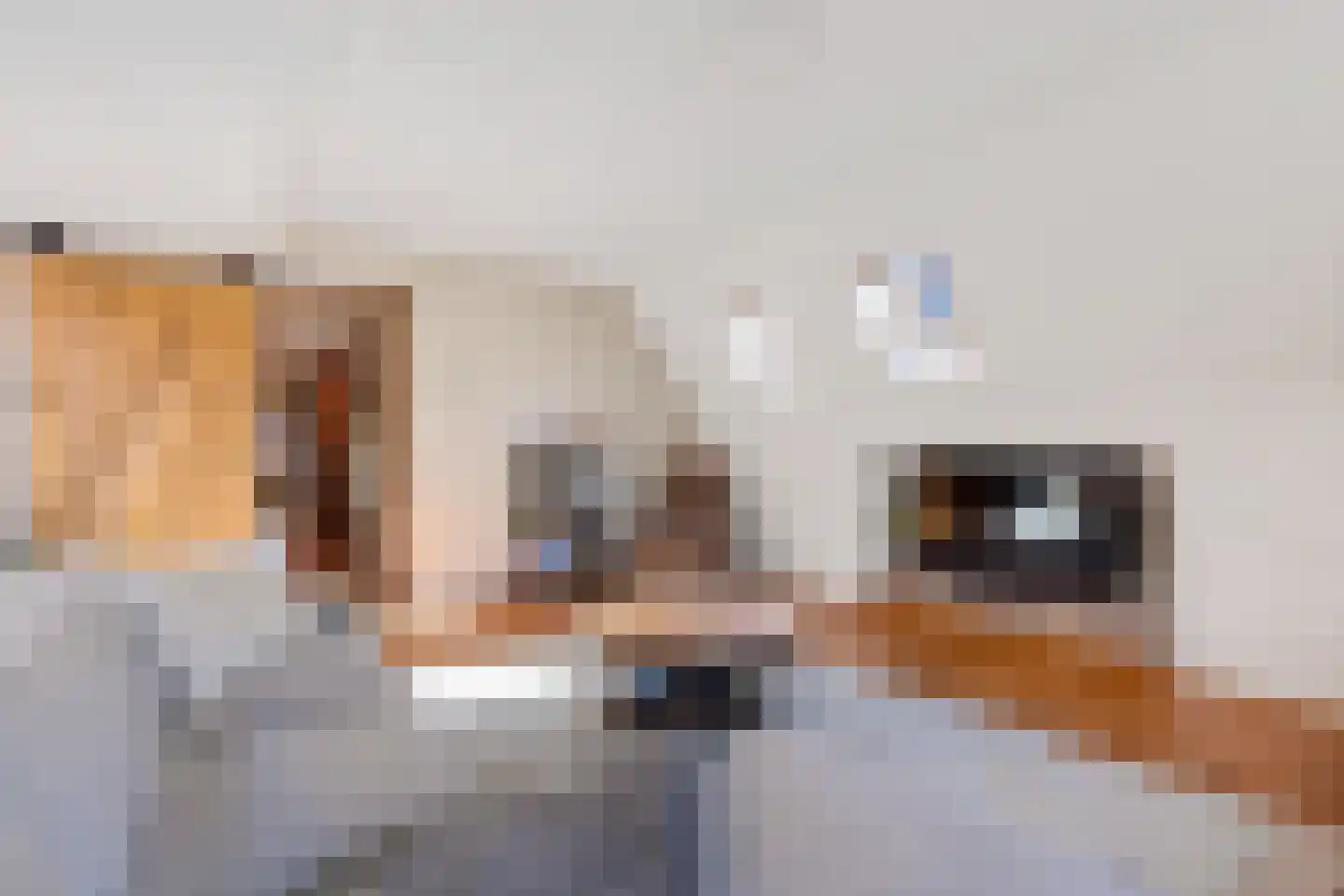 Midstraat 31 a Joure thumbnail 41