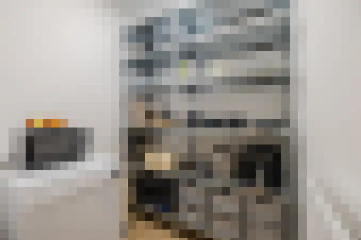 Midstrjitte 34 Woudsend thumbnail 21