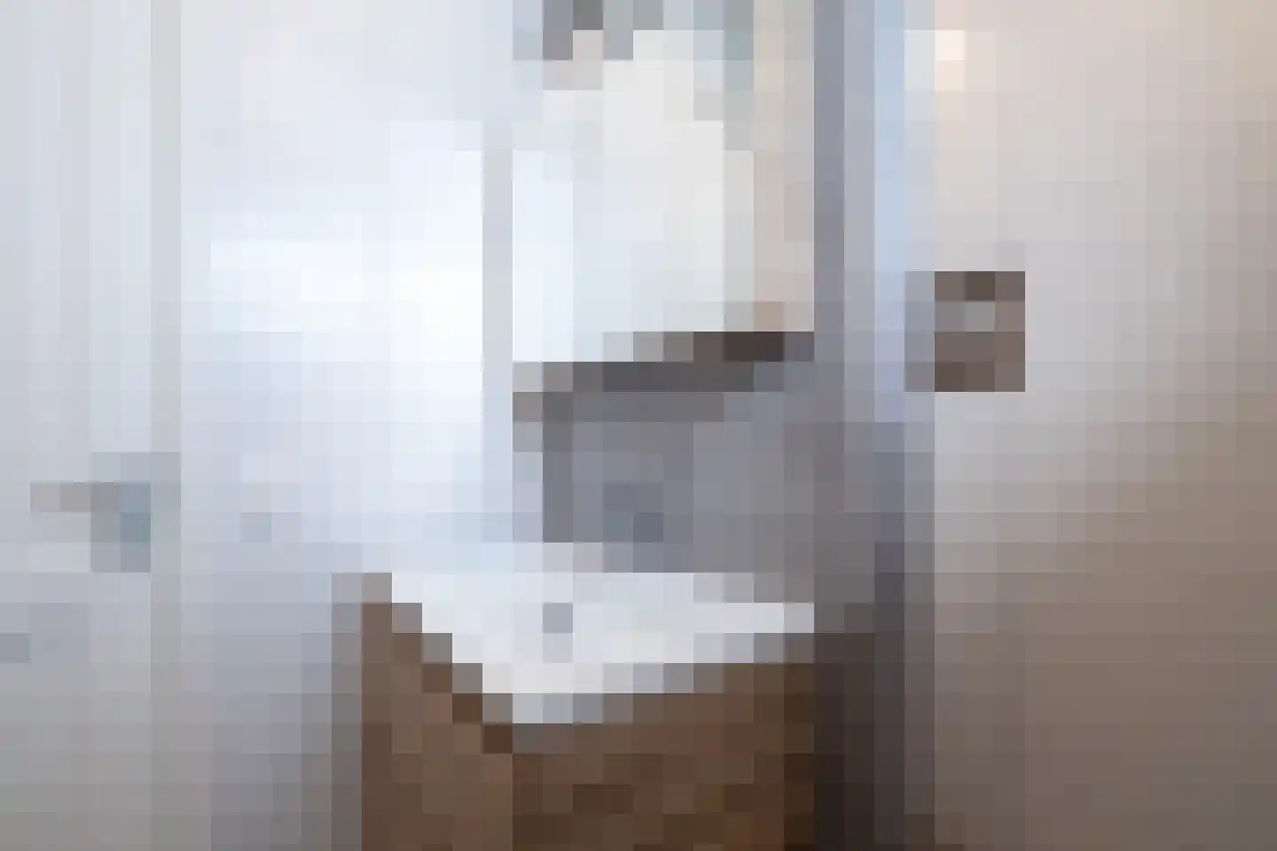 Midstrjitte 34 Woudsend thumbnail 28