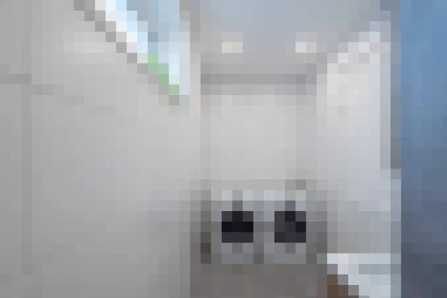 Midstrjitte 34 Woudsend thumbnail 29