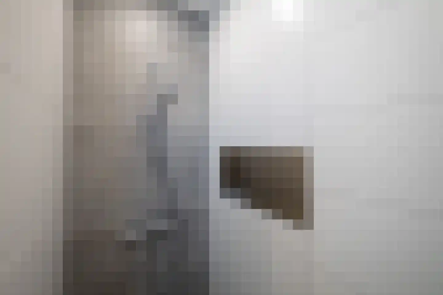 Midstrjitte 34 Woudsend thumbnail 30